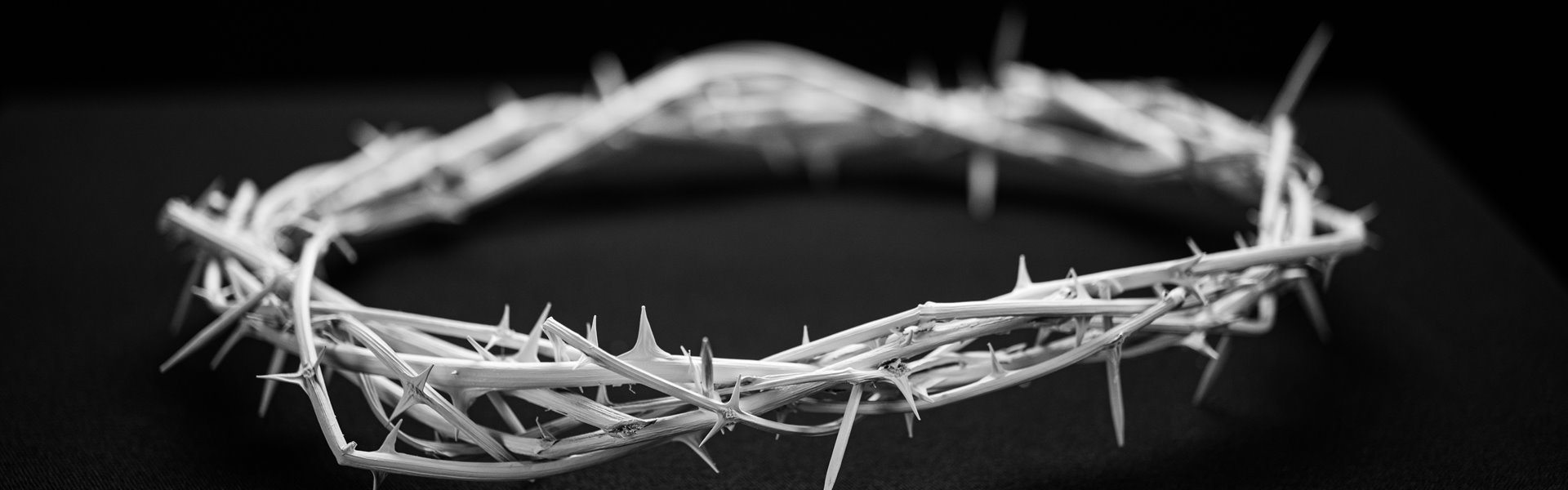 bbc-creative-dbovl65jnt4-unsplash