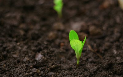 daniel-dan--fmxvhtcrmw-unsplash