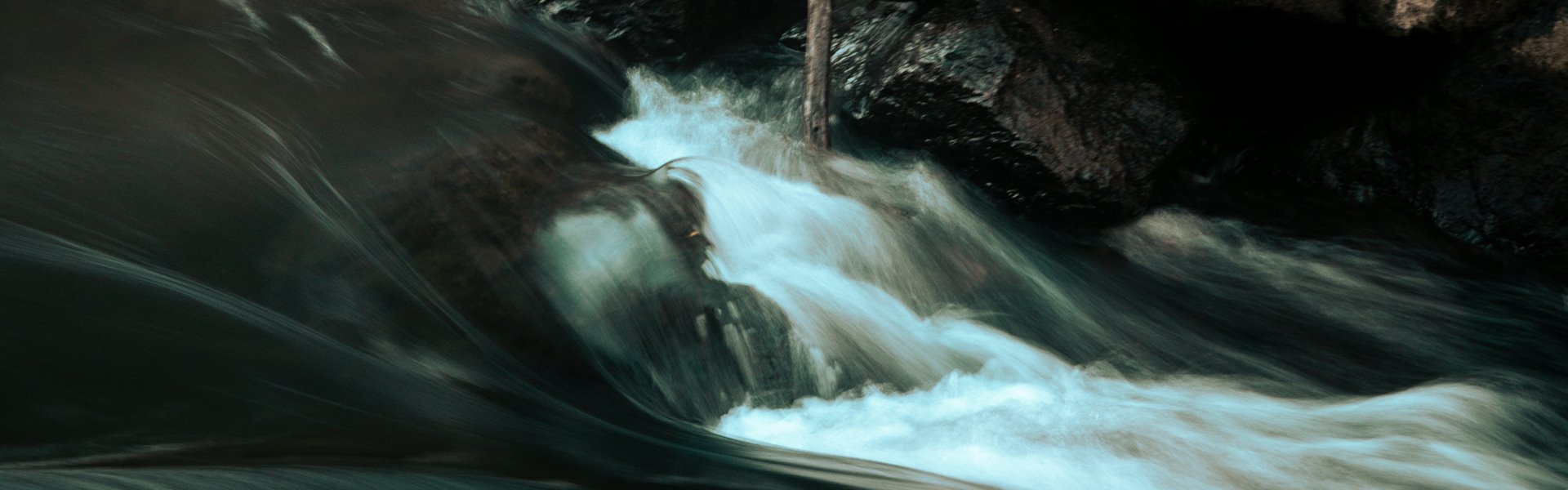 daniel-morton-yy2lcfskeb0-unsplash