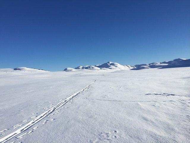 Frigjørende, ikke farlig!