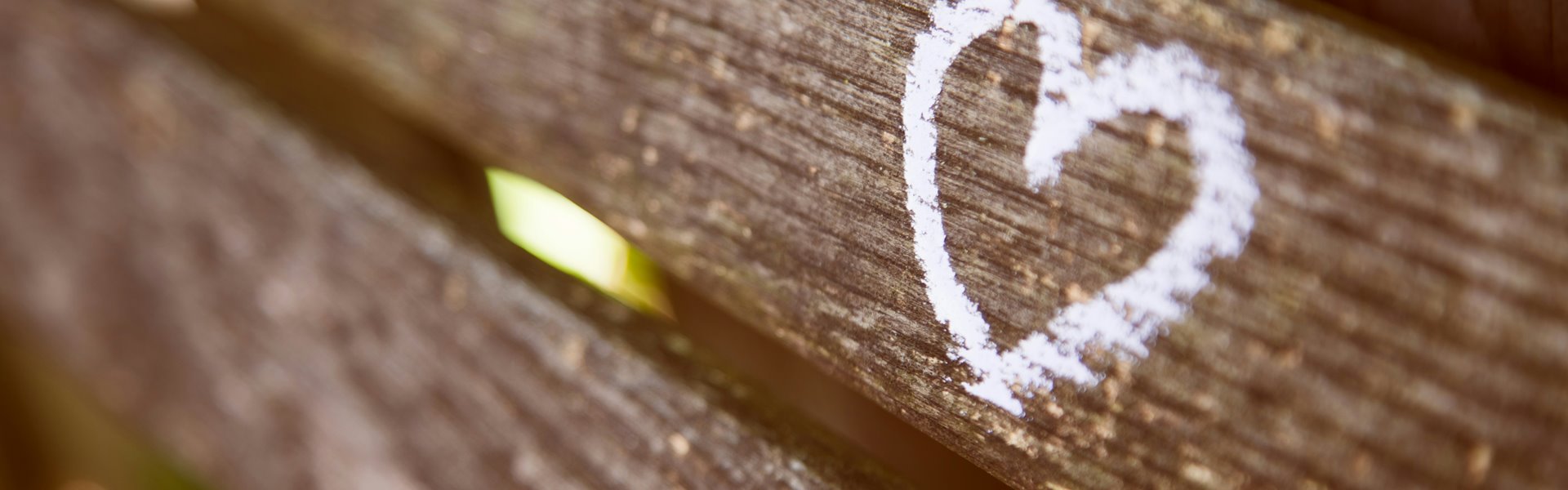 jamez-picard-hgfddoulkhs-unsplash