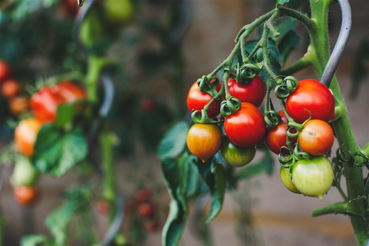 markus-spiske-3rgriigbq8q-unsplash